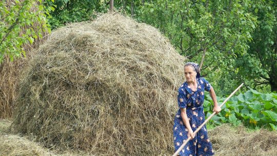 Munca la sat și sănătatea oaselor: Când devine efortul o problemă
