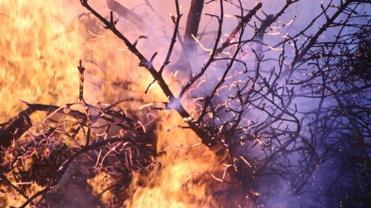 ISUBIF: Incendiu de vegetaţie uscată pe şoseaua Olteniţei; o maşină de pompieri a fost afectată