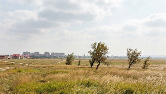 Avertizare meteo de vânt puternic valabilă pentru opt județe din țară, vineri